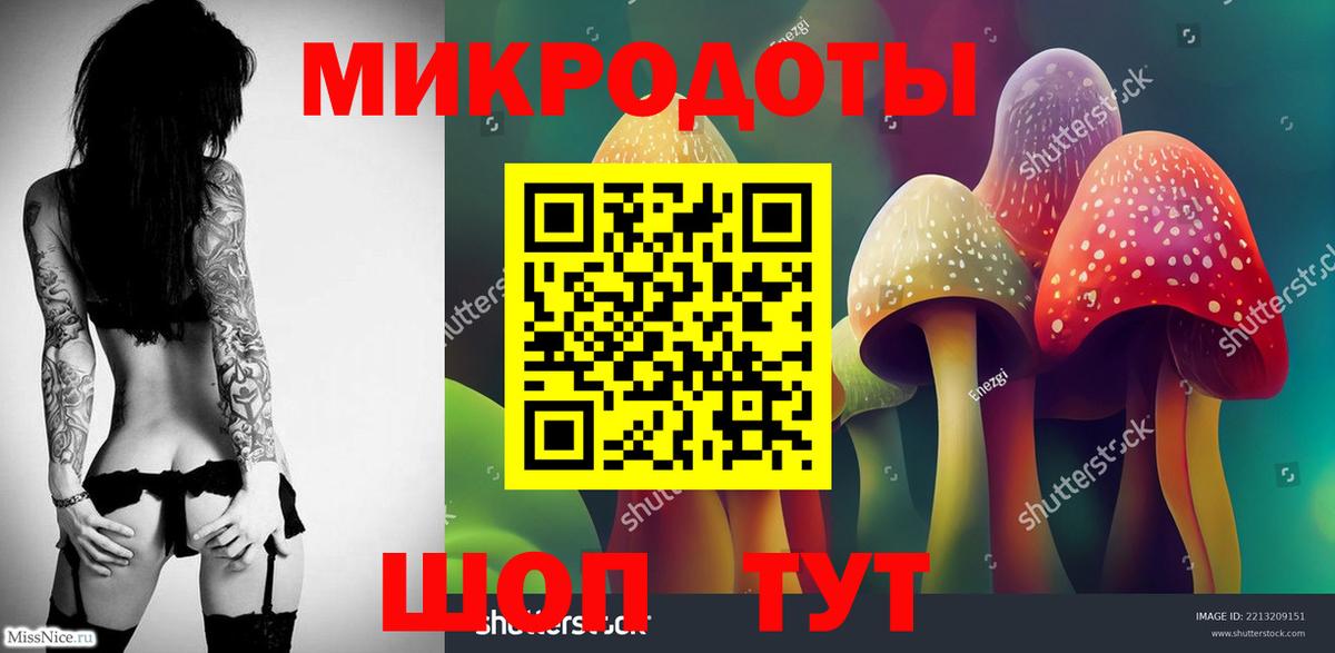 Галлюциногенные грибы Psilocybe  Вход с VPN  Пушкино 