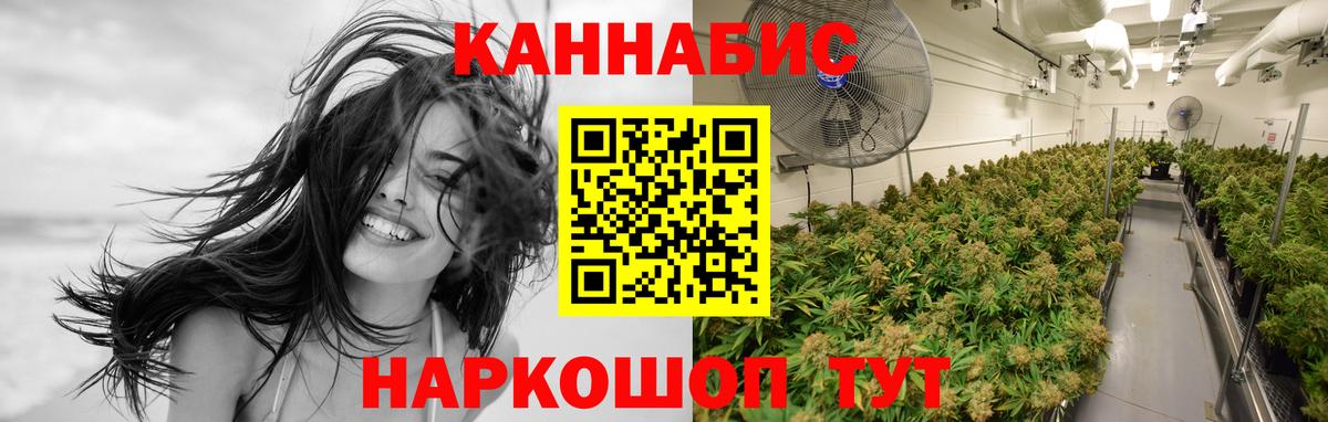 Шишки марихуана планчик  Вход с VPN  Конопля OG Kush  Конопля Bruce Banner  Пушкино 